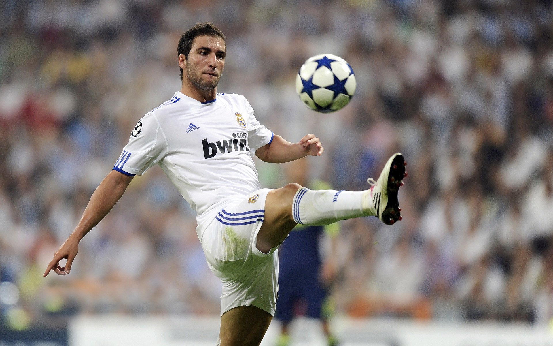 赛场双雄，德国战车力克葡萄牙，樊振东展露王者锋芒