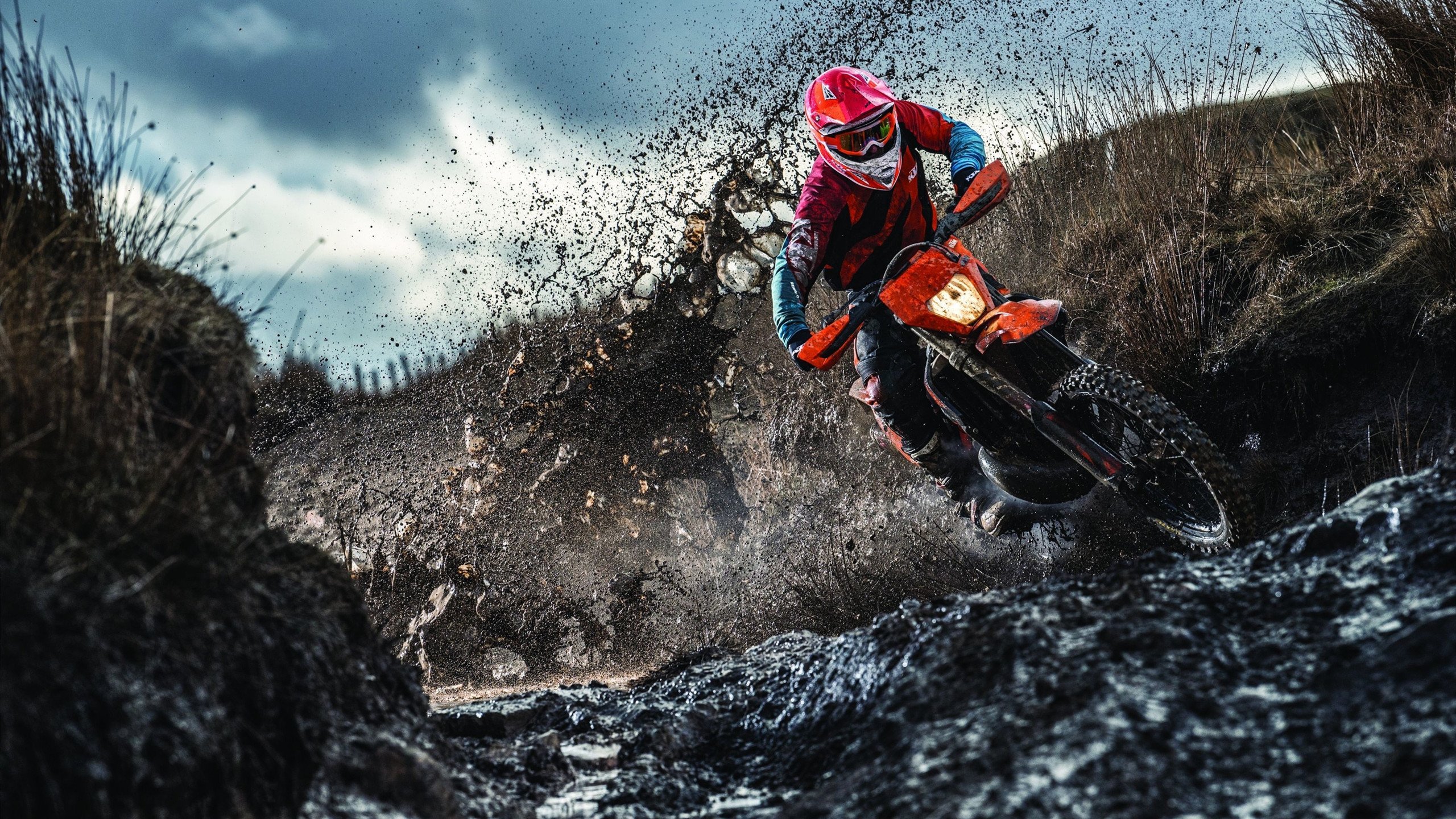 开云APP-威廉姆斯碾压阿斯顿马丁，皮亚斯特里关键制胜，一场战术与勇气的完美演绎